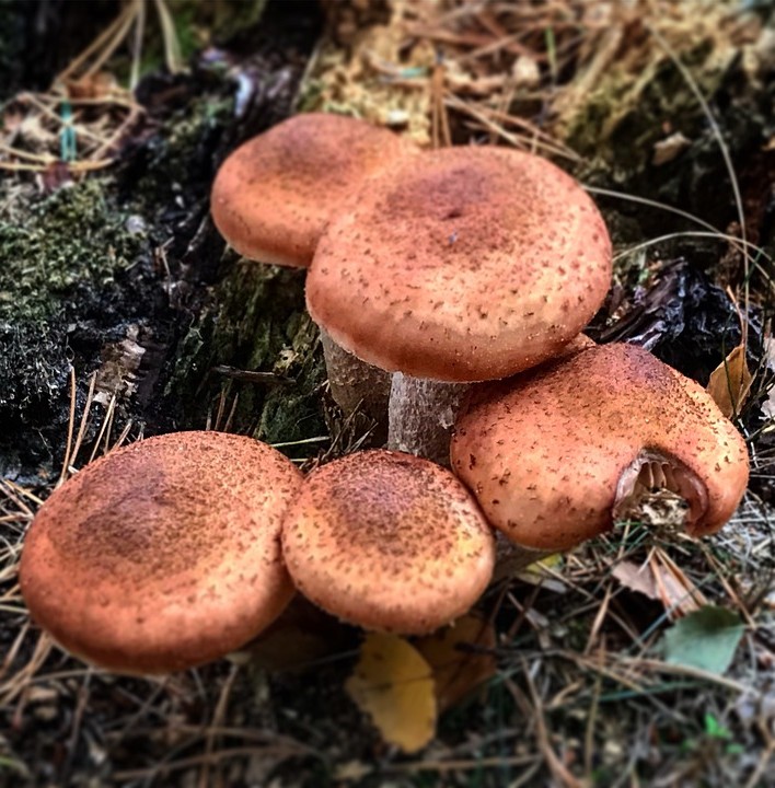 האם אפשר להציע שירותי ליווי ללא מין? השאלה שמתעסקים בה יותר אנשים ממה שנדמה